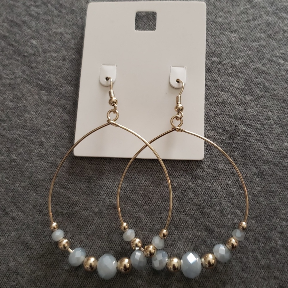 NWT Dangle Earrings